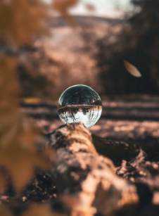 An avatar image of a head with a lightbulb, pencil, and arrow coming out of it